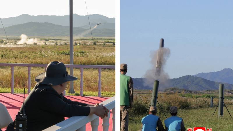 S. Koreja ispalila raketu uoči Trumpova posjeta Južnoj Koreji