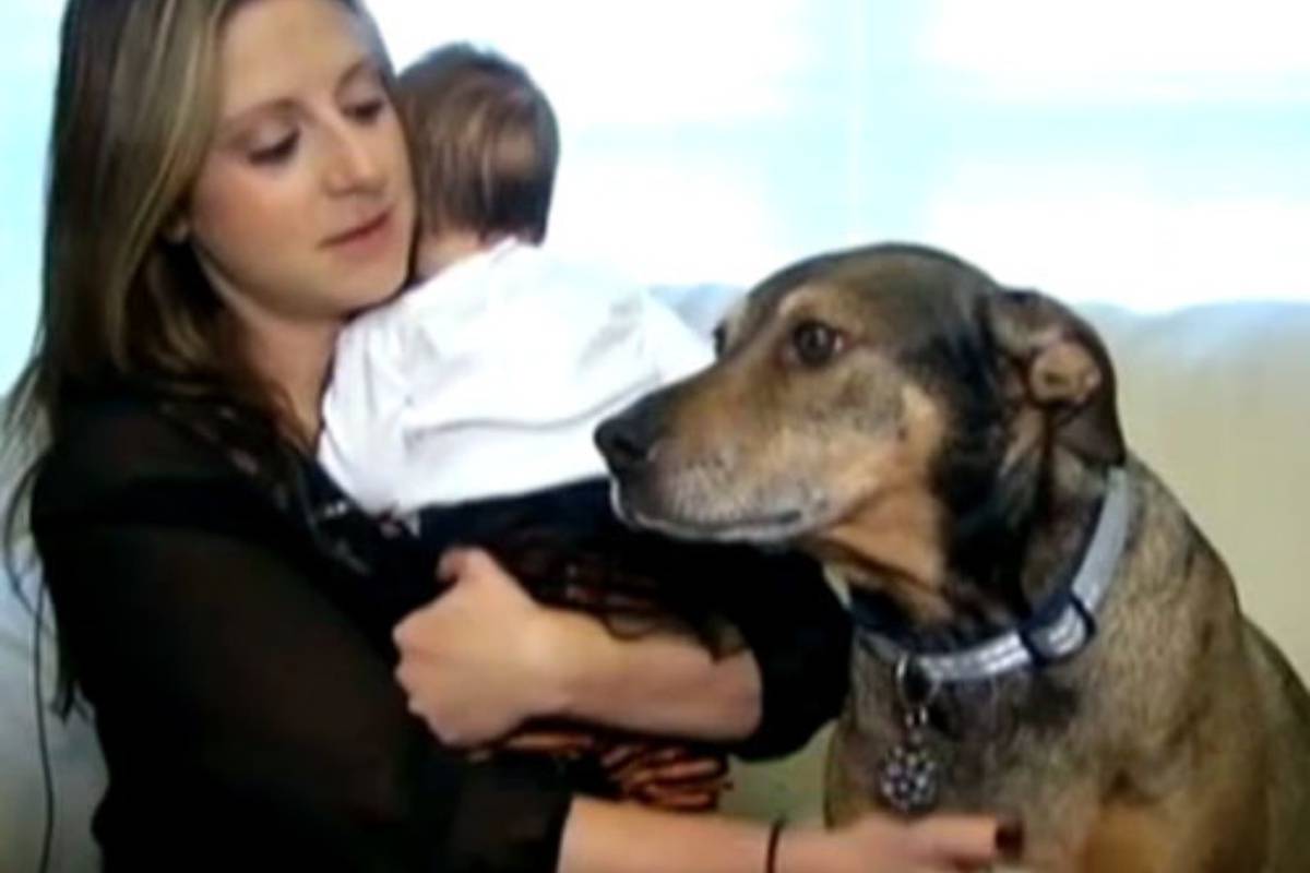 Udomljeni pas Duke postao je heroj: Spasio život maloj bebi