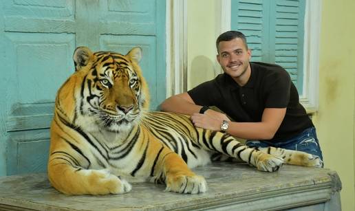 Kad odmor nije samo pla&zcaron;a! Sin Lepe Brene pozirao s tigrom