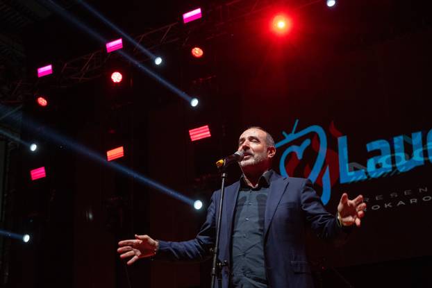 Drazen Zečić nastupio na 13. Hrvatskoj noći u Frankfurtu