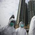 U Kini umrla žene (63) od kombiniranih sojeva ptičje gripe