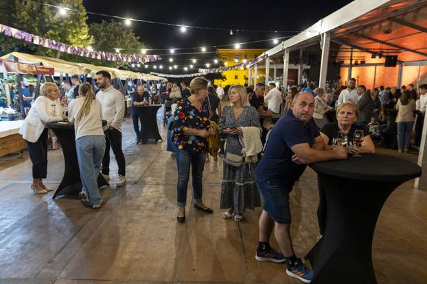 Ilok: Otvorenje 58. Iločke berbe grožđa