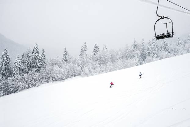 Ski slopes in the coniferous forest in 'Kolasin 1450' mountain