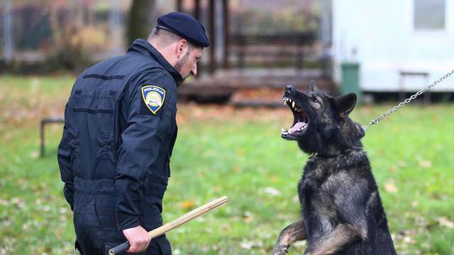 Pas Franz ruši kriminalce, štiti policajce, ne boji se ni pucnjave: 'S nama je već četiri godine'