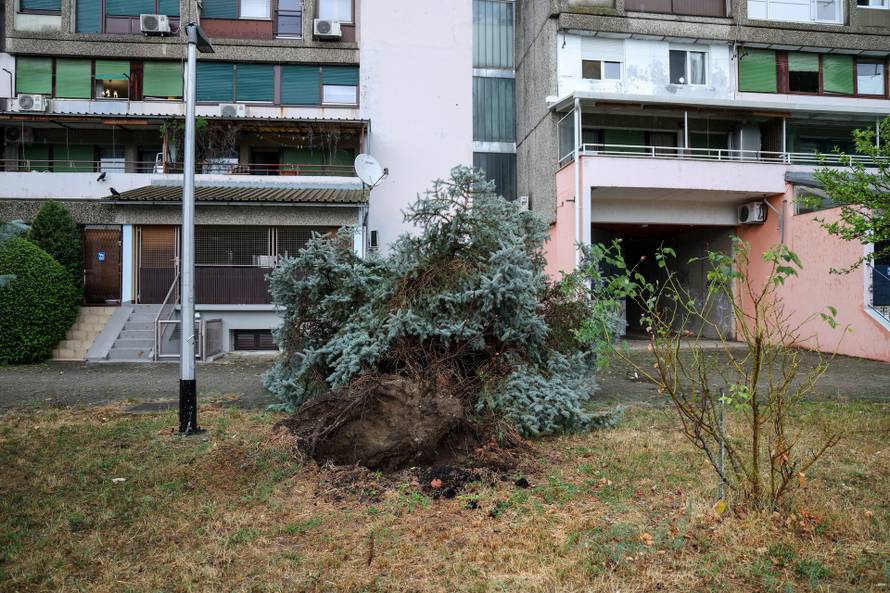 Zagreb: Vatrogasci uklanjaju stablo koje je palo u Ulici Svetog Mateja