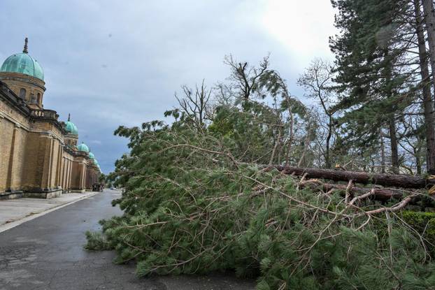 Zagreb: U nevremenu teško  oštećeno gradsko groblje Mirogoj
