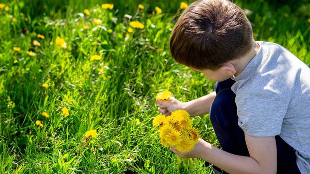 Funny,Baby,Sniffs,A,Dandelion.,Spring,In,Nature.,Allergy,To