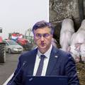 Vukovarski HDZ-ovci pozvali su svinjogojce na prekid protesta: 'Nije Plenković kriv za kugu...'