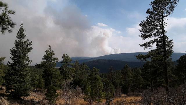 Drought-driven wildfire leaves "moonscape" in New Mexico