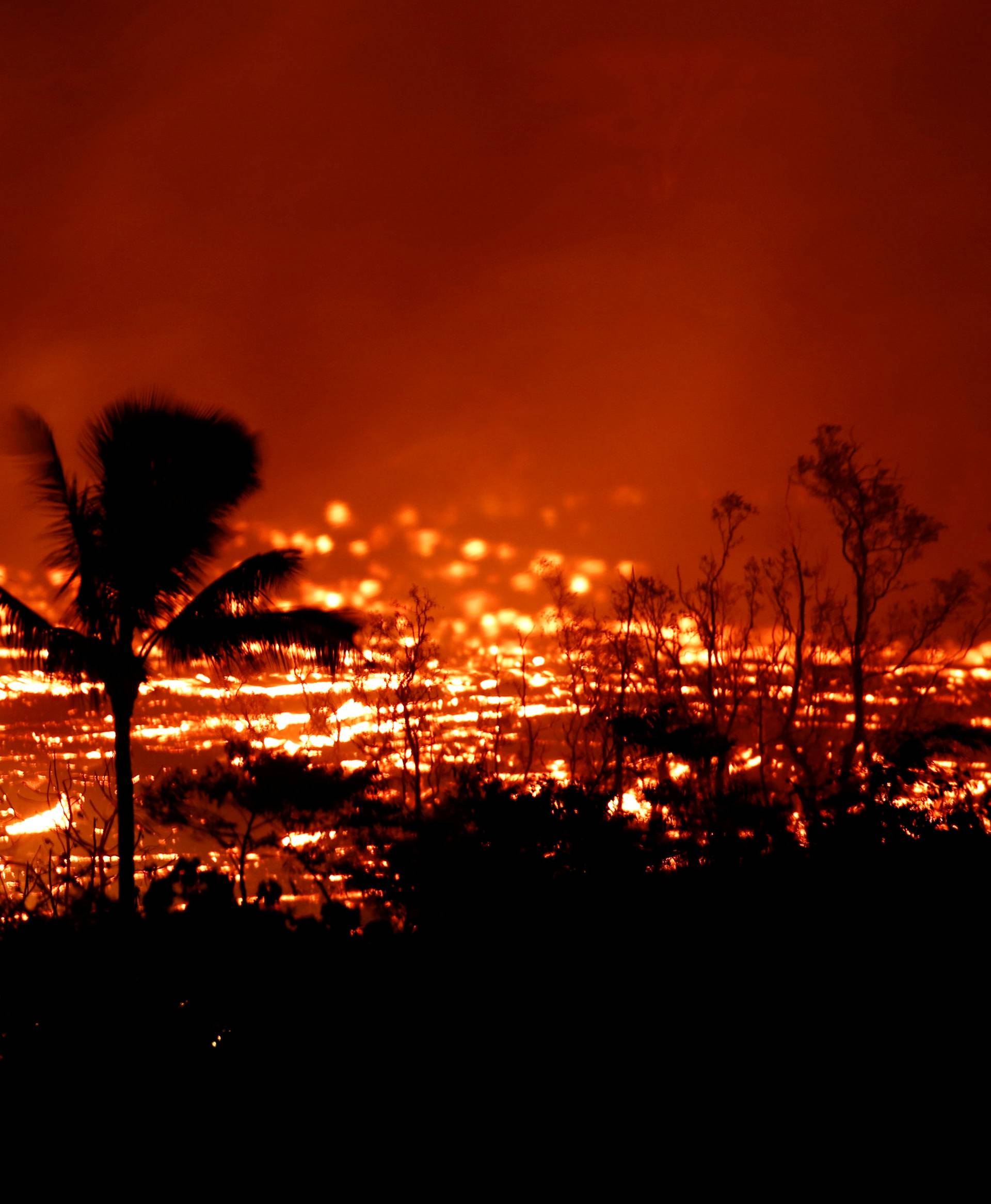 Lava flows past trees on the outskirts of Pahoa