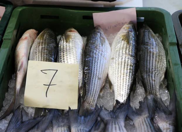 Šibenik: Ponuda ribe u šibenskoj ribarnici