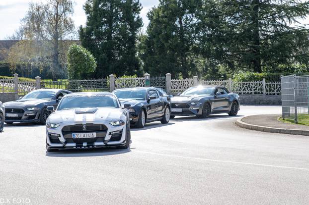 GALERIJA Kultni američki Mustanzi zablistali su u Rovinju