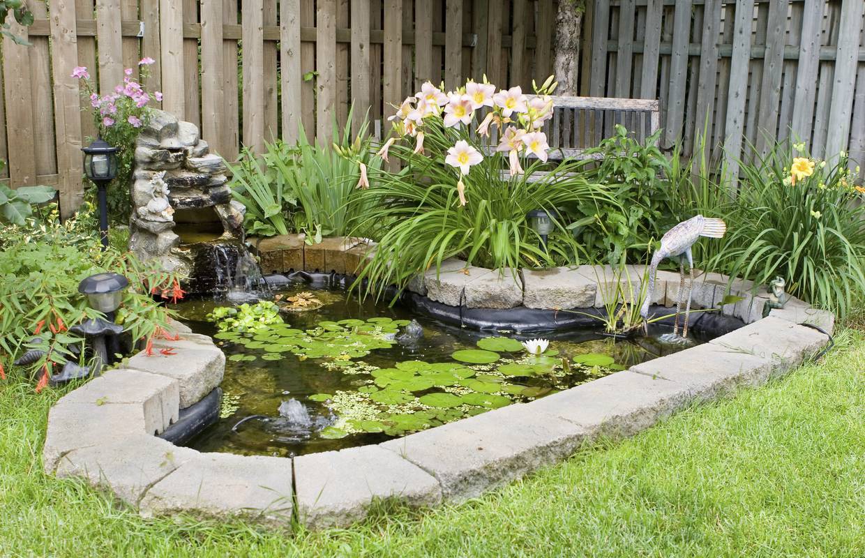 Stavite si u vrt maleno jezerce, lijepo izgleda, a još je i korisno