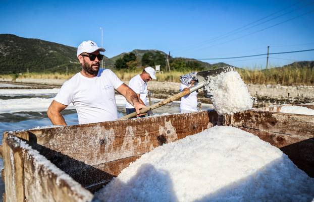 Berba soli u Stonskoj solani