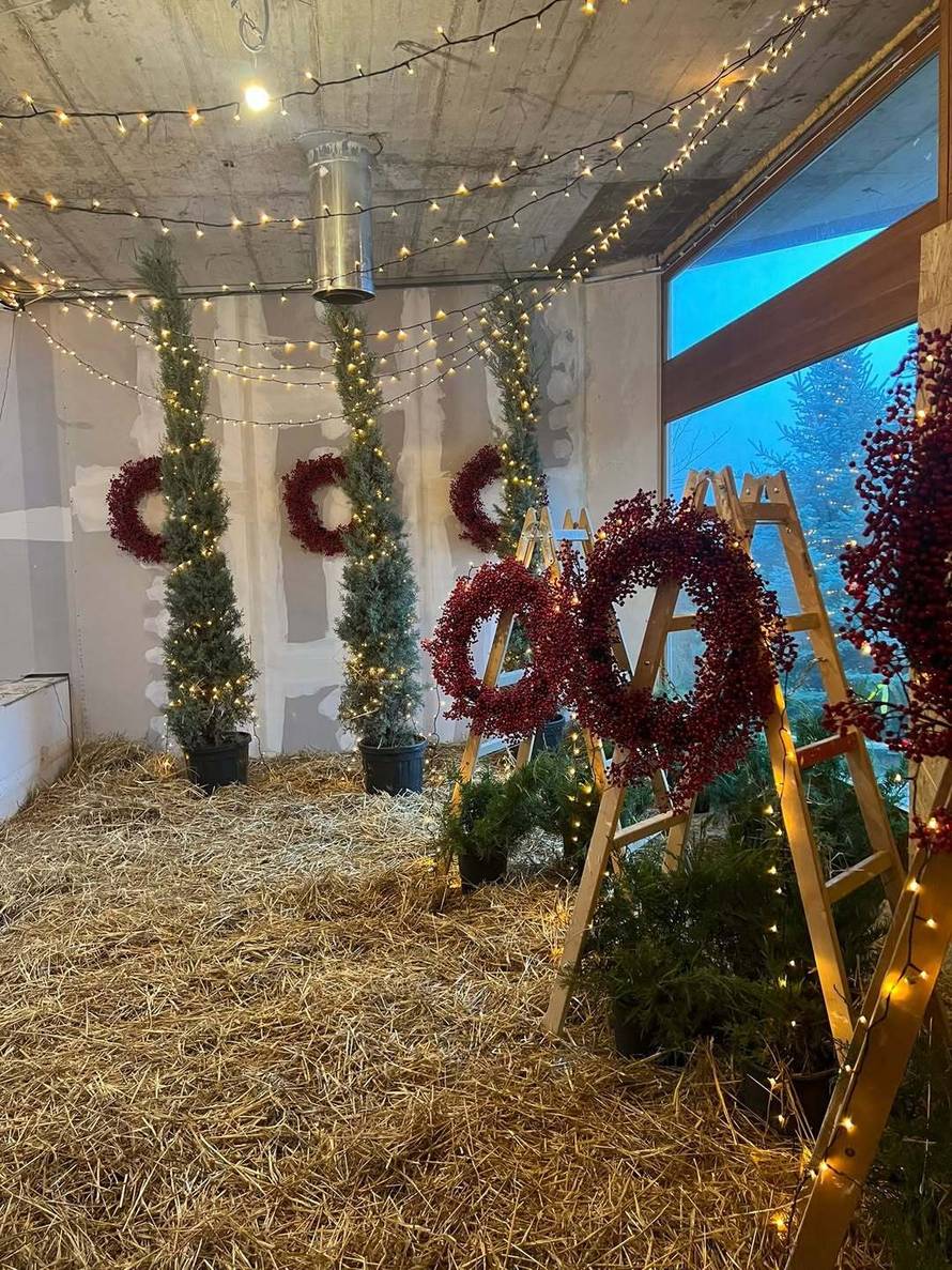 DOZNAJEMO Severina je otkrila gdje seli: Ovo su obrisi novog doma, tamo već odvela i majku