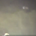 VIDEO Dva vuka se šuljala u visokoj travi: 'Zapravo se uopće nisu bojali, odšetali su dalje'