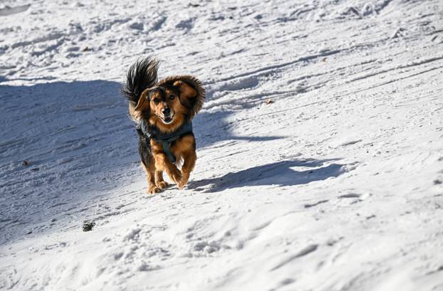 Sunčano novogodišnje jutro na Sljemenu