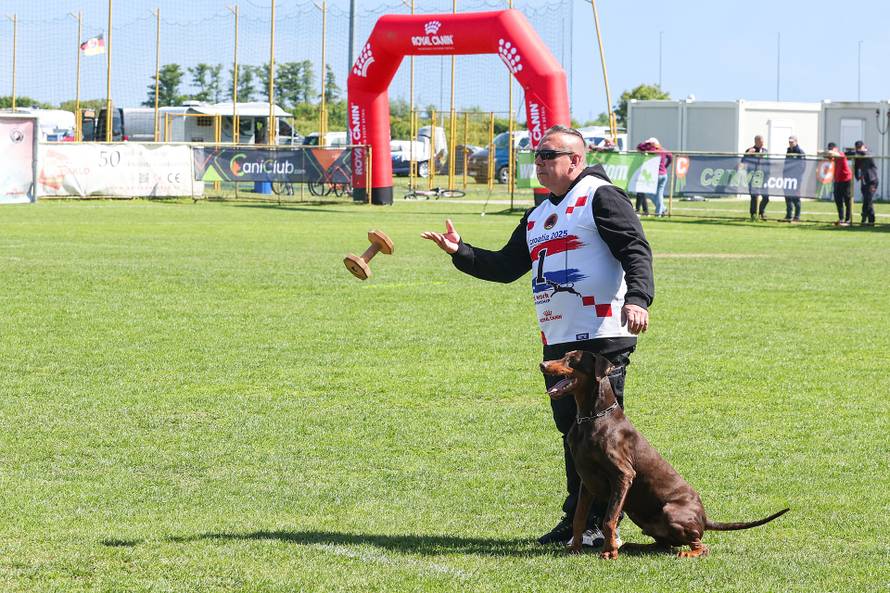 Međunarodna izložba natjecanje dobermana u Kurilovcu