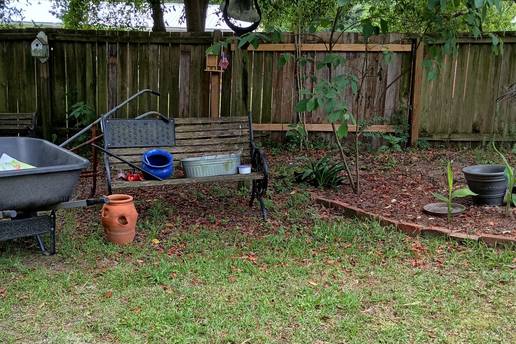 Optička varka koja je izludjela internet: 'Mic-mic, ne možemo naći mačku na slici!' Vidite li ju?