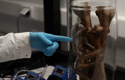 Njemačka: U vrećici IKEA-e našli kosti stare 1500 godina