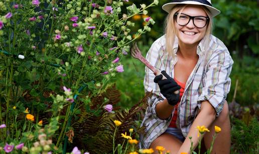 Rujan je idealno vrijeme: Evo koje trajnice treba sada posaditi