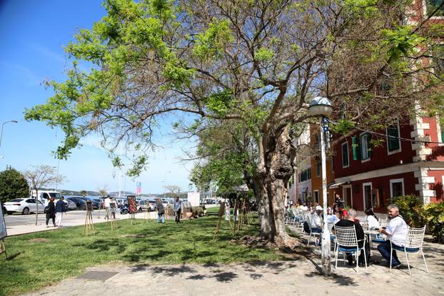 Šibenik: Jedanaest autora obilježilo Svjetski dan umjetnosti izlažući u okviru pop up izložbe „Ja umjetnik”