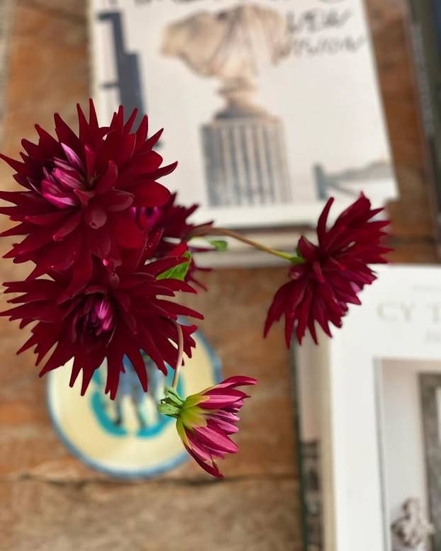 FOTO Tajne kralja cvjetnih aranžmana: 'S Majkom Terezom sam jeo uskršnji doručak'