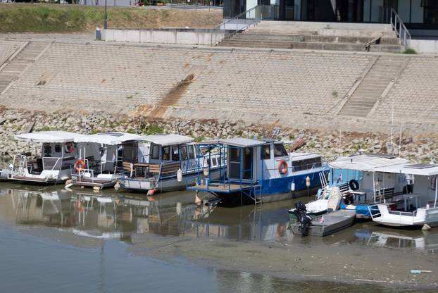 Vukovar: Niski vodostaj Vuke