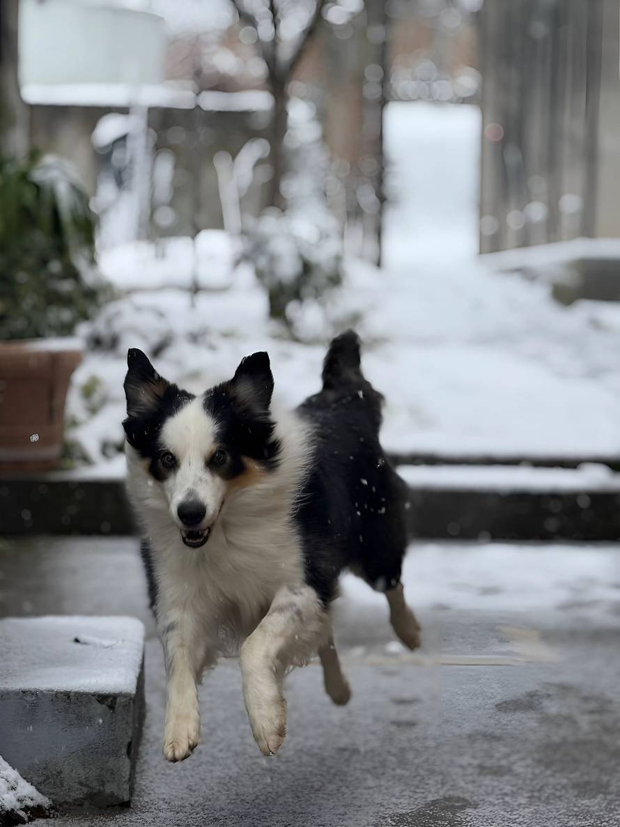 Općinska komunalka sama 'izlopatala' snijeg sa staze: 'Nema nikakve drame u tome'