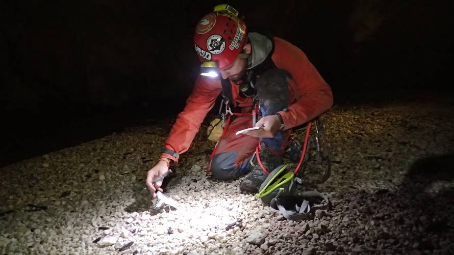 Čuda iz utrobe Biokova: Deset  neviđenih  životinjskih vrsta...