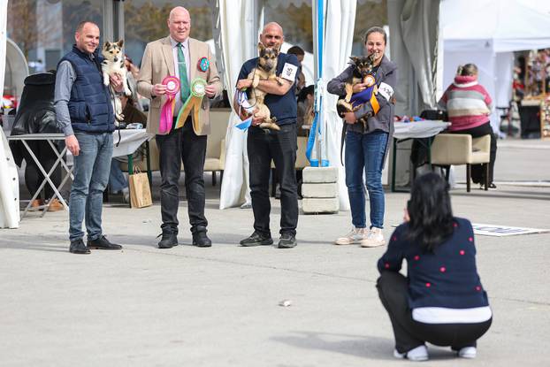 Zaprešić: Ispred Wesgatea održana međunarodna izložba pasa