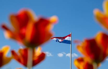 HAZU: 'Grb s bijelim početnim poljem treba isticati i poštovati. Tako su ljudi i nekada radili'