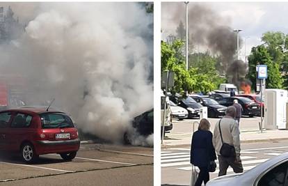 Izgorio automobil na Savici: 'Samo je odjednom planulo iz njega, šikljao je gusti dim'