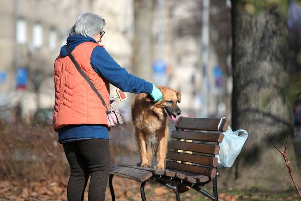 Jutarnja kozmetika i higijena vrlo su bitne u životu psa