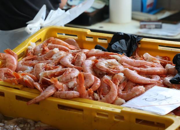 Šibenik:Bogata ponuda ribe na sibenskoj ribarnici.