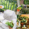 Zelena oaza na balkonu: Povrće stavite na police ili pak u košare