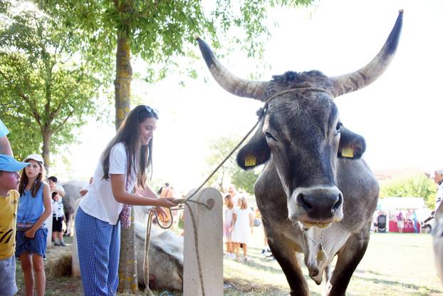 Kanfanar: Održana tradicionalna 33. smotra istarskih boškarina