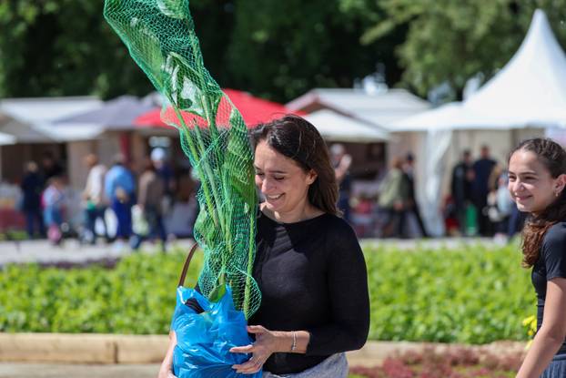 Zagreb: Sunce obasjalo Flora Art