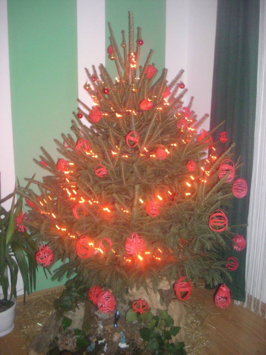 Šaljite fotografije božićnih jelki i osvojite vrijednu nagradu...