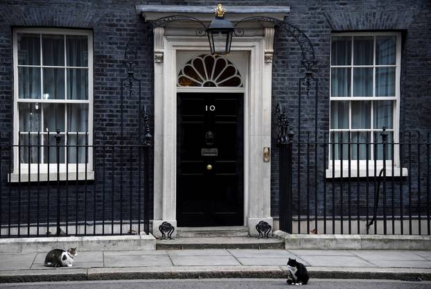 FILE PHOTO: Larry the Downing Street cat and Palmerston the Foreign Office cat square off outside British Prime Minister