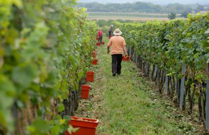 Traže propusnice: Varaždinci žele u vikendice i vinograde...