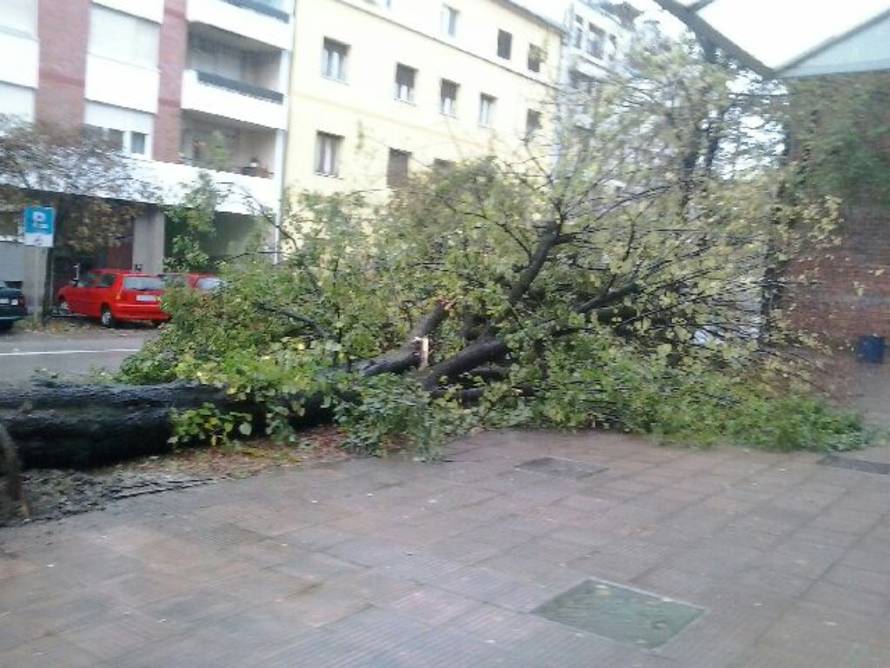 Čitatelj 24sata