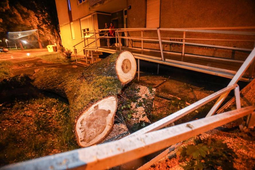 Zagreb: Vjetar srušio stablo na invalidski prilaz stambene zgrade
