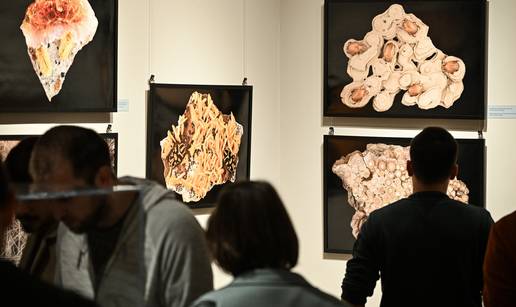 U Zagrebu je otvorena izložba koja spaja svijet kukaca i minerala