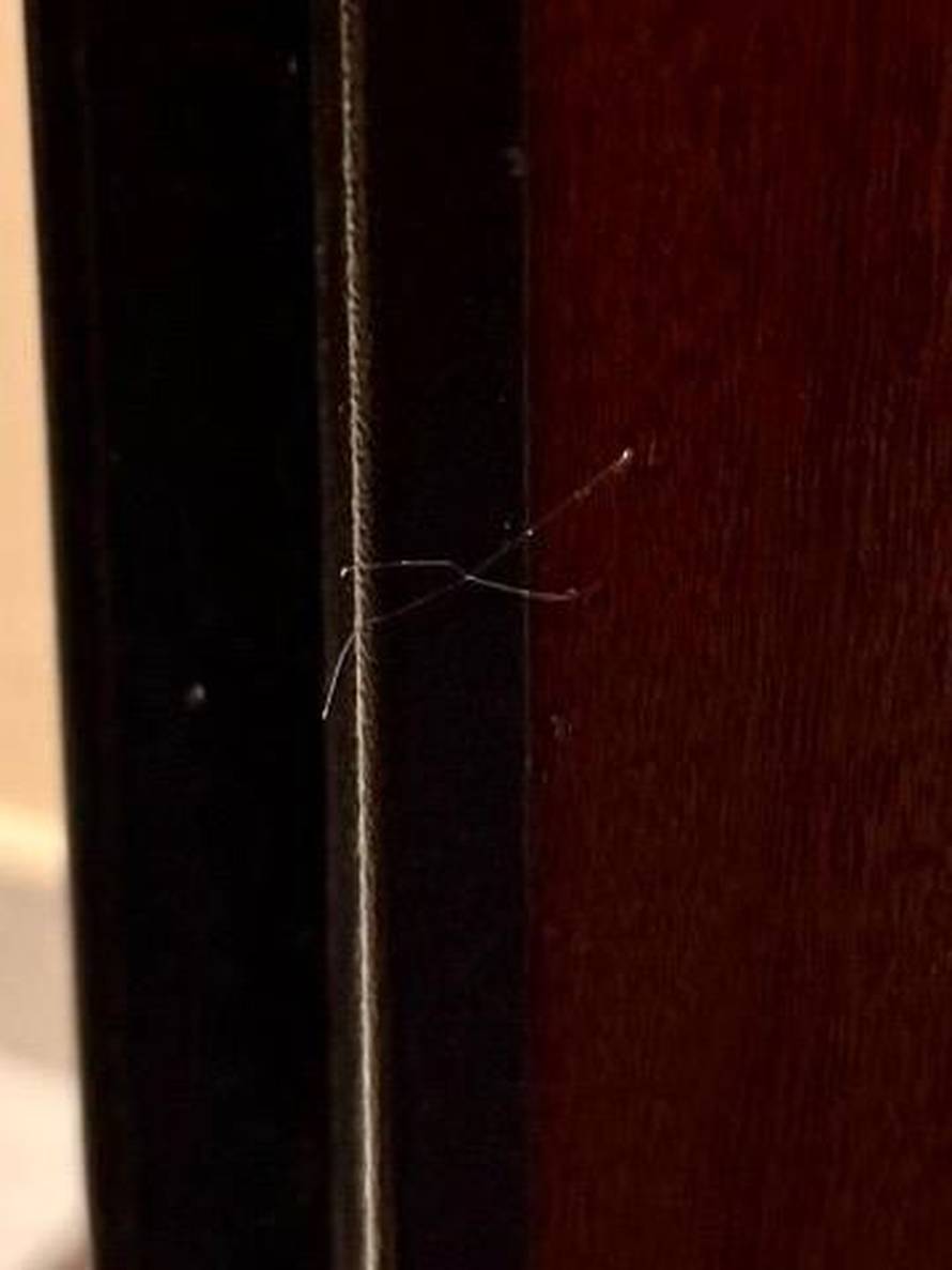 FOTO Žrtva provale u Zagrebu: 'Strah nas je, sve su prekopali, a svaki stan je bio označen...'