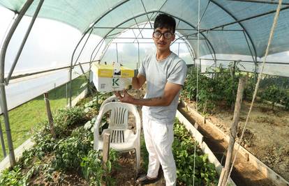 VIDEO Nepalac Yubraj u Dugom Selu posadio je vrt s nepalskim biljkama: 'Jako ljut čili imam!'