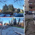 Kaos u Zagrebu! Drveće padalo na aute. Problem s vjetrom i u Osijeku: 'Bila je baš jaka oluja'