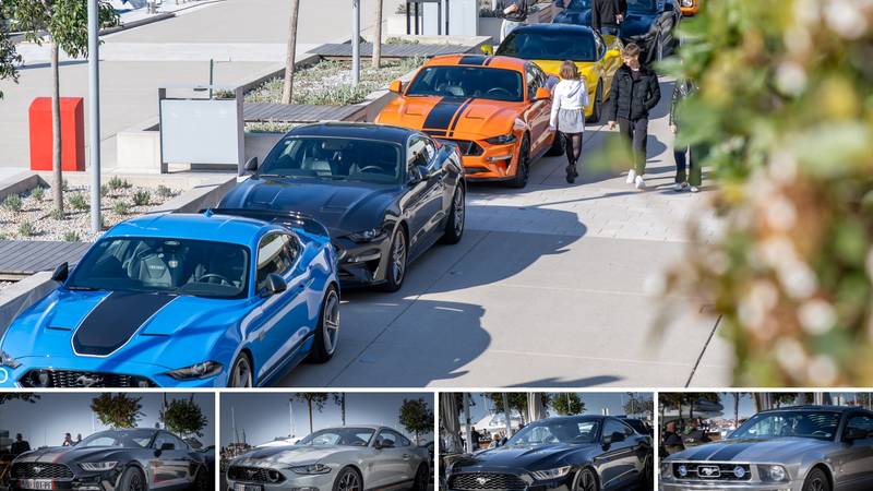 GALERIJA Kultni američki Mustanzi zablistali su u Rovinju