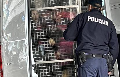 Suludo! Prosvjedovale su pred ministarstvom, doveli su ih u marici: To mogu biti i vaša djeca