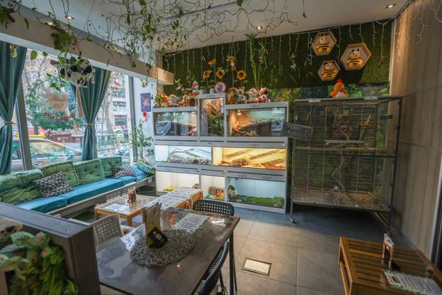 Zagreb: Emilija i Amer Alaydi otvorili su kafić Animal caffe
